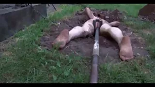 Une bête aux cheveux longs a trompé french porn mom and son un mec avec un homme noir sans vergogne