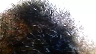 La chienne s'est glissée dans son pantalon et a streaming film porno francais séduit un mec excité