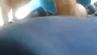 Dans un environnement porno francais blonde sombre, BB succhia